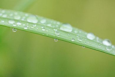 4090运行《上古卷轴5》3100个Mod+光追 画面炸裂